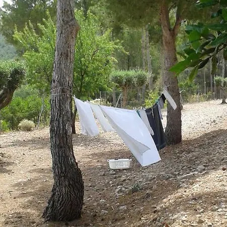 Finca Lliber